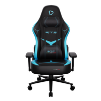 ONEX RTC Embrace Hardcore Gaming Chair