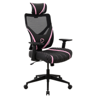 ONEX GE300 Breathable Ergonomic Gaming Office Chair